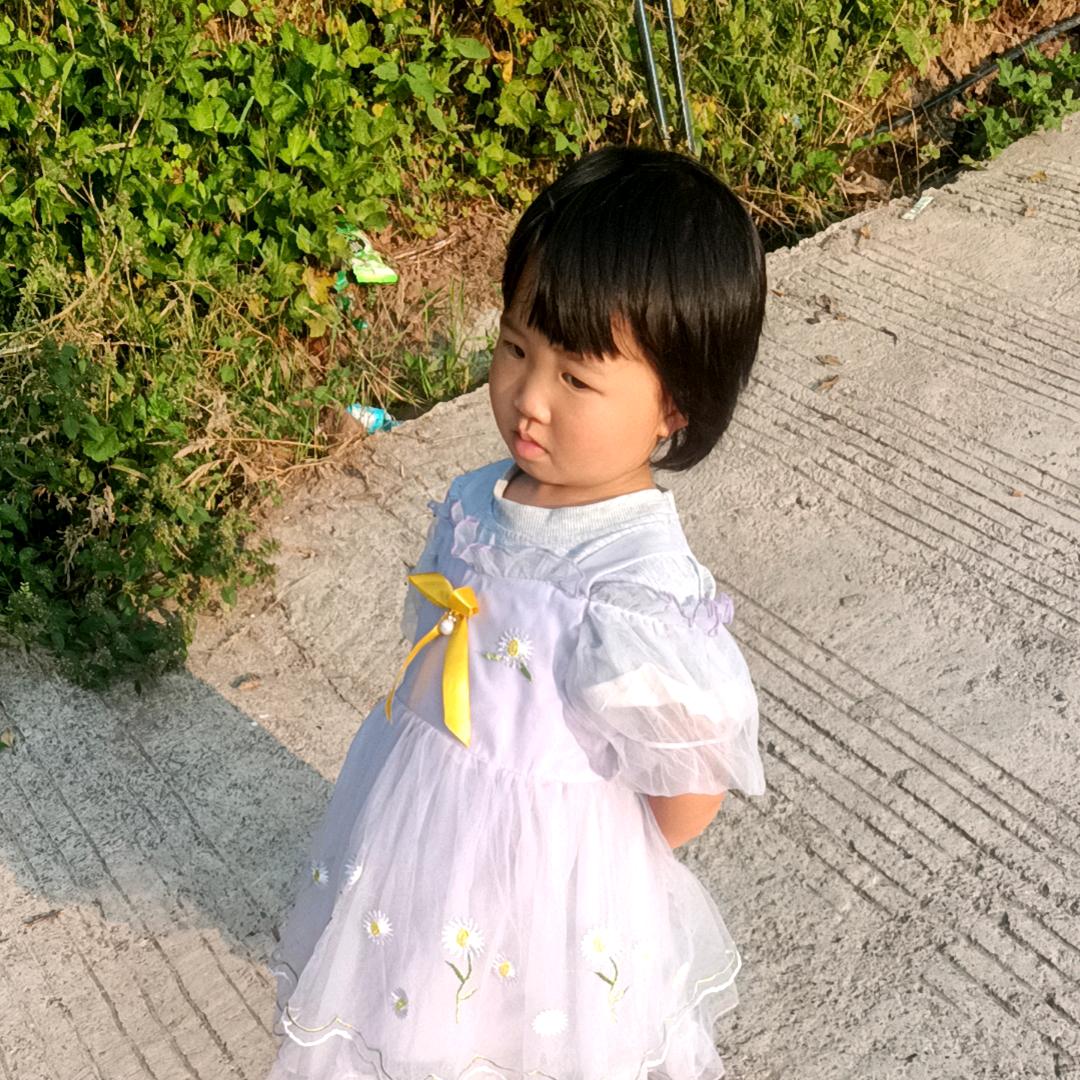 世上没有千年树