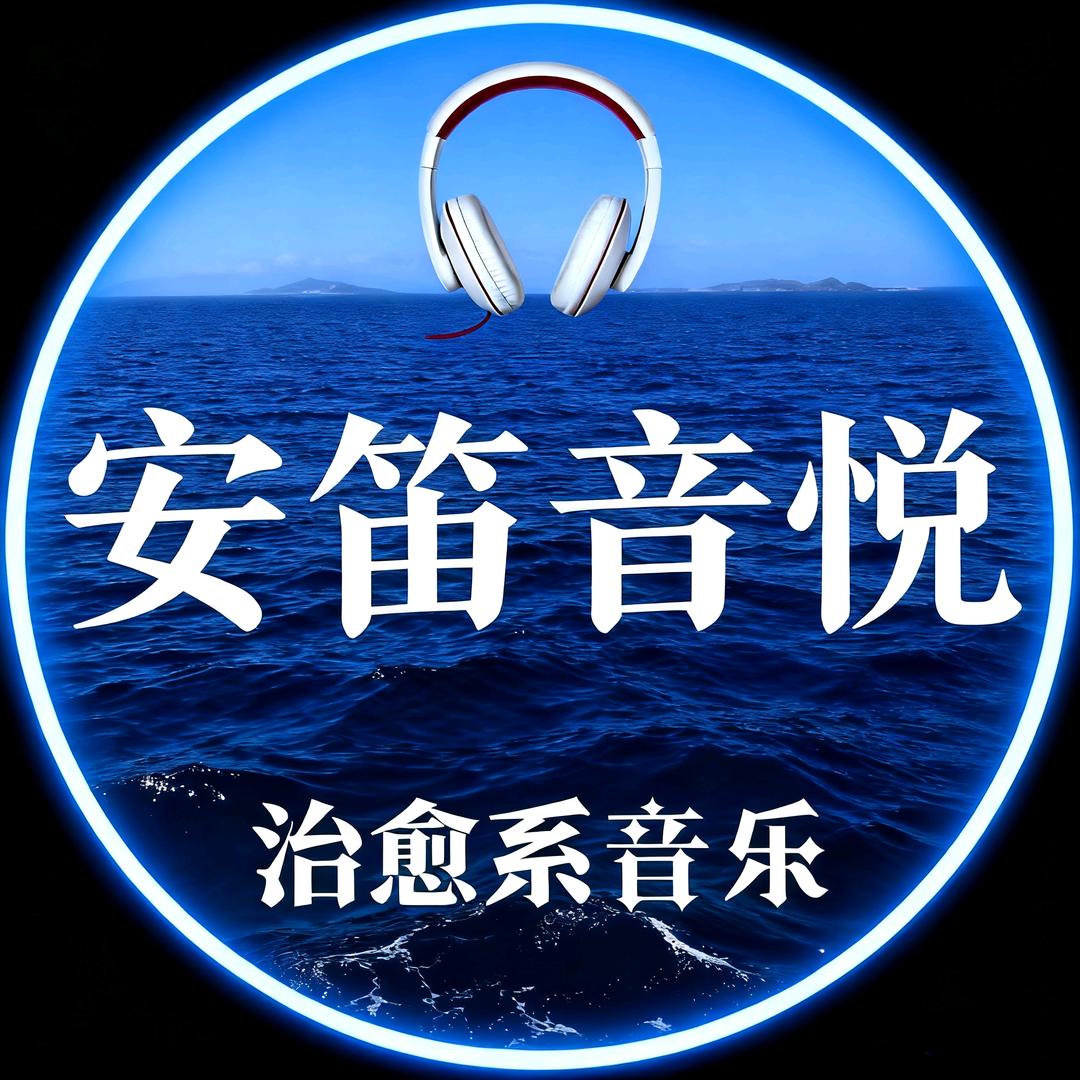 安笛音悦（优盘店铺下单）
