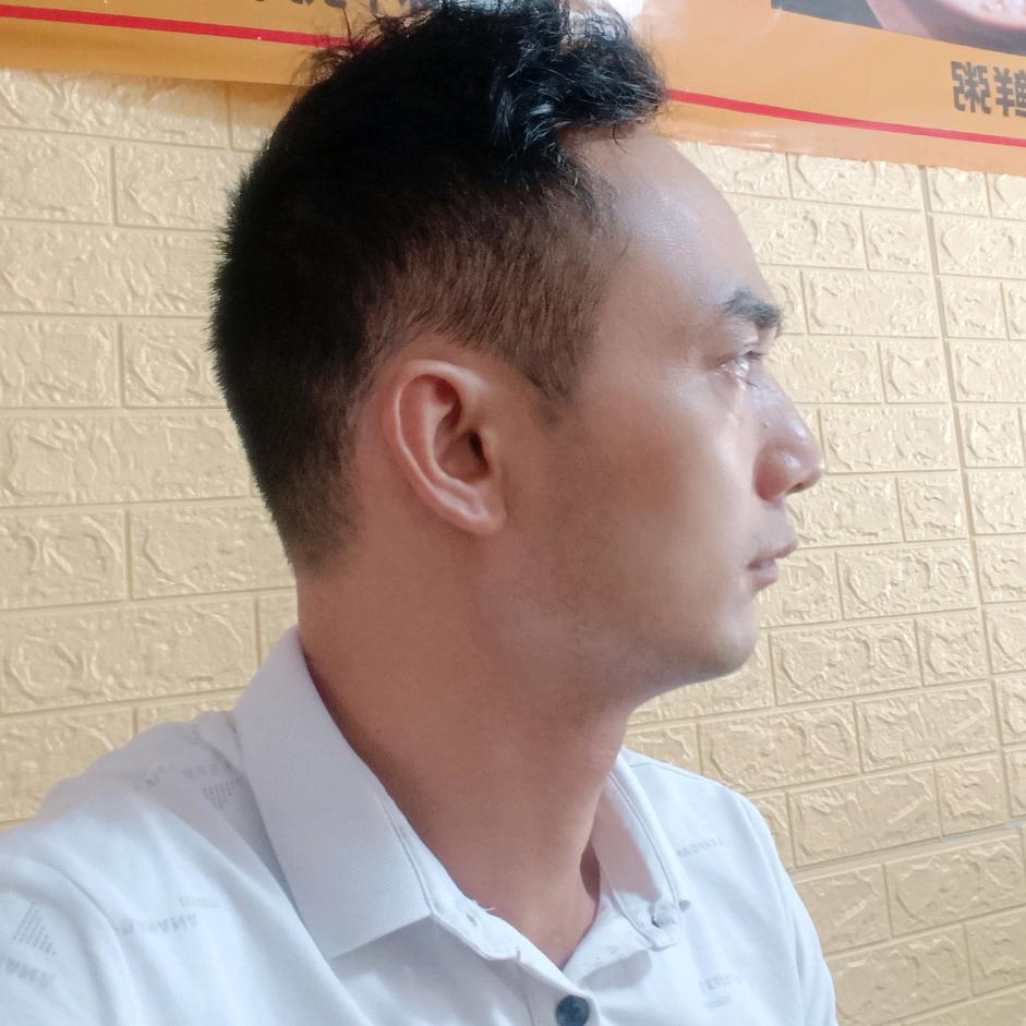 只见树下一盏风尘