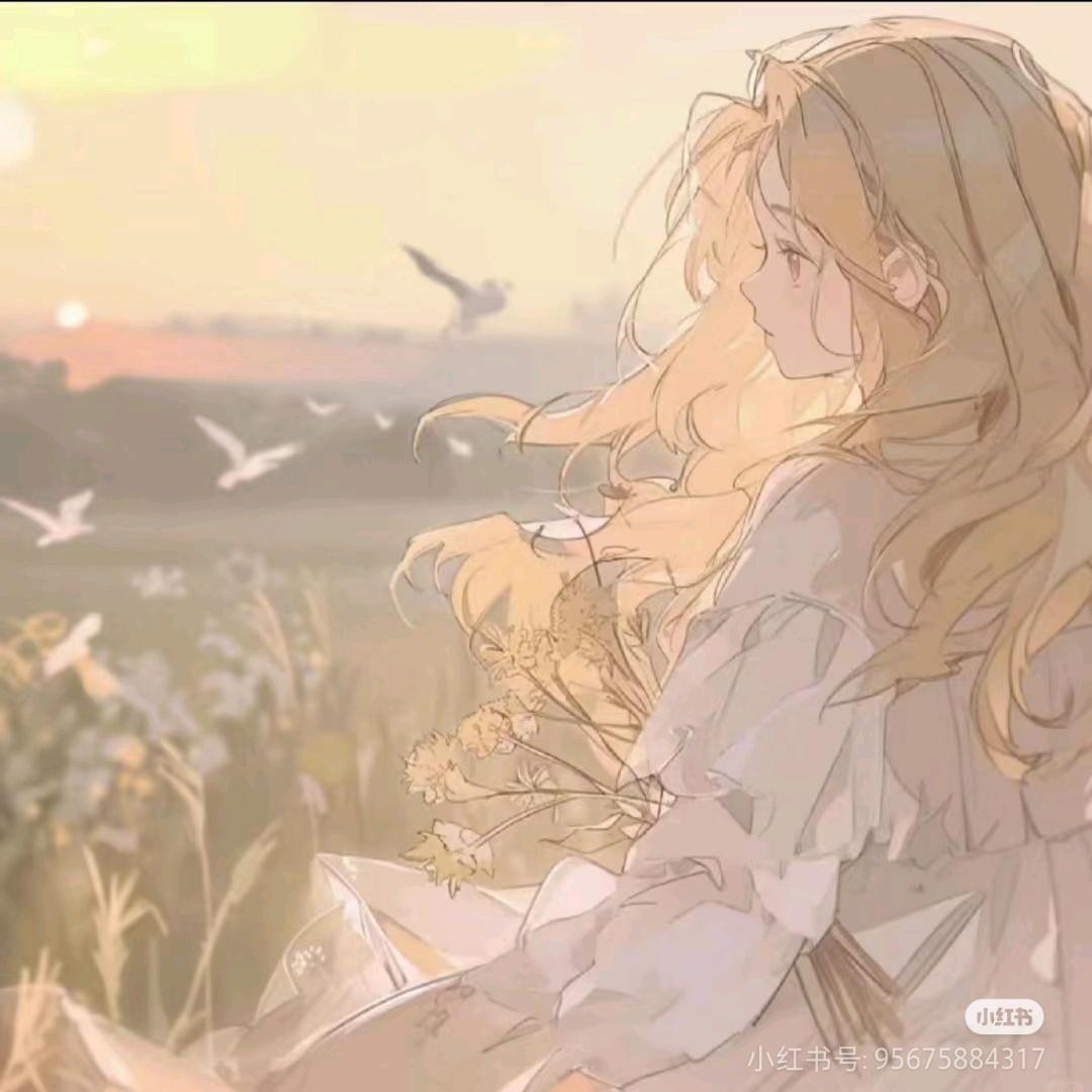 毛毛虫cc
