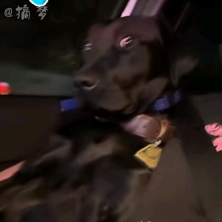 儿儿