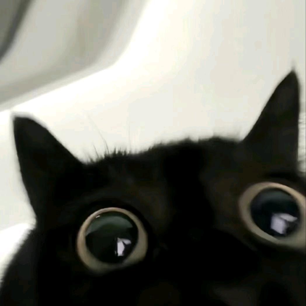 🇨🇳猴子大王0722(农)