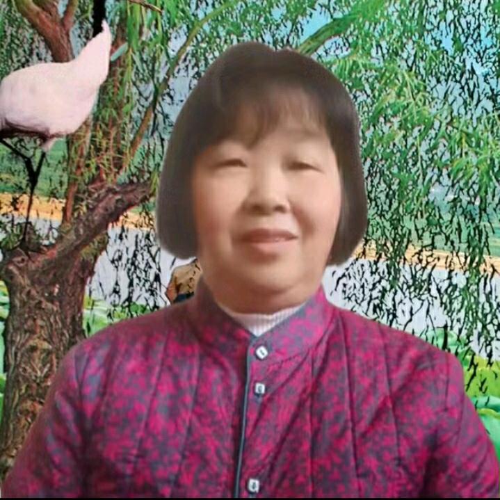 杨芳（直播分享）