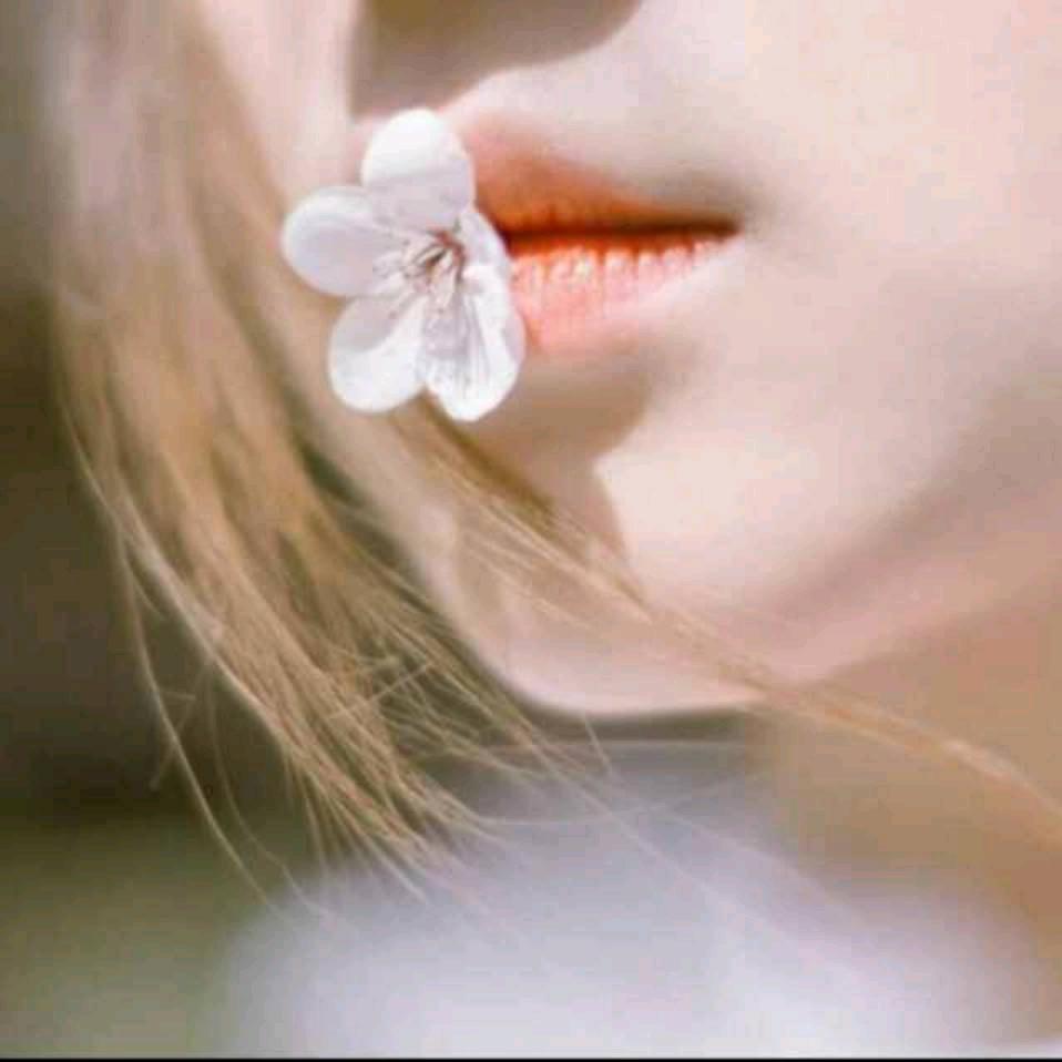 李李木子