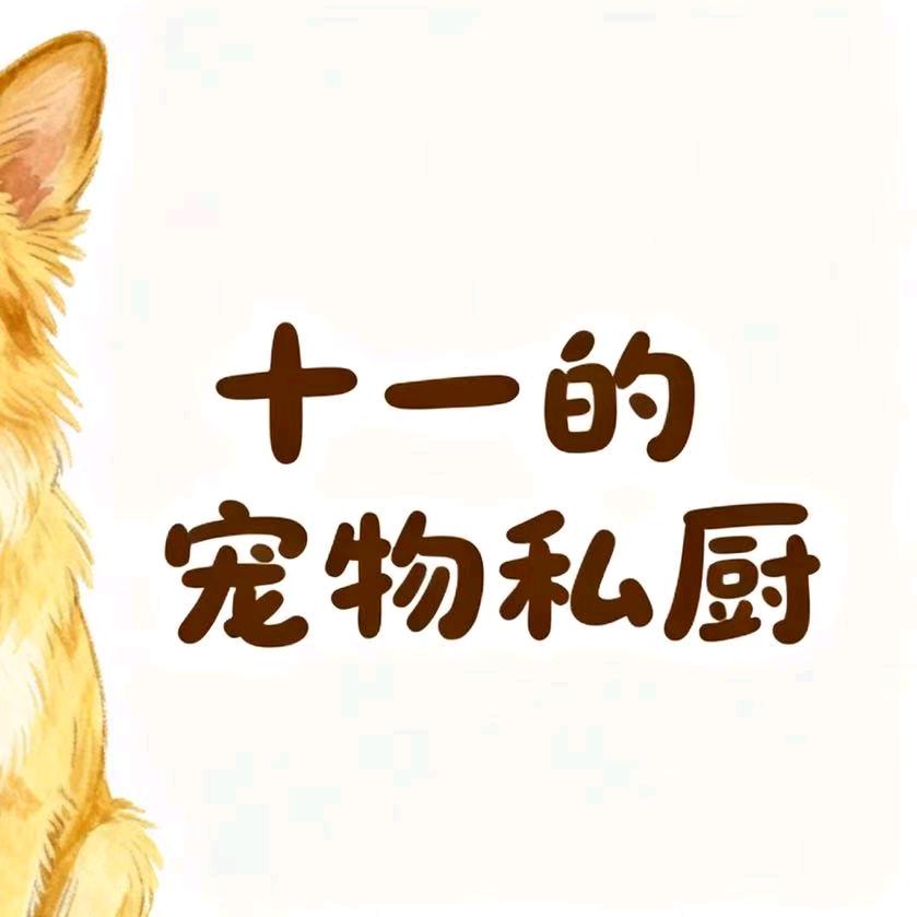 十一的宠物私厨