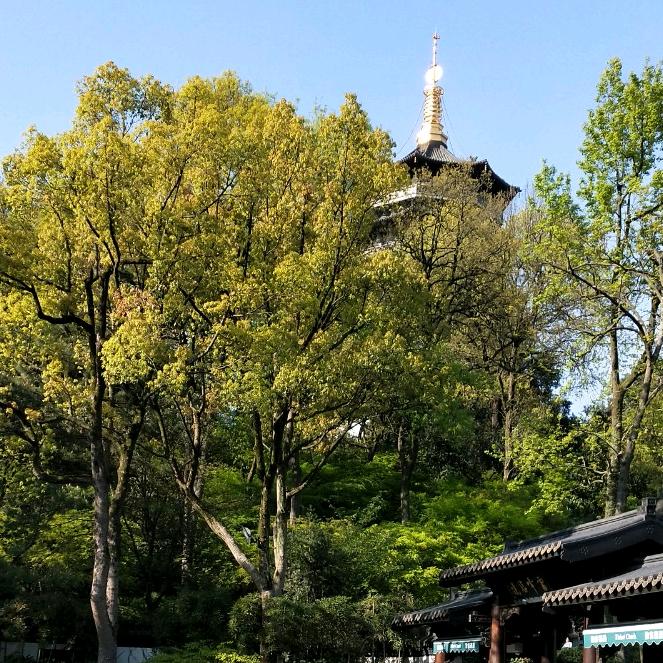 🏅礼所🎼当然🍺