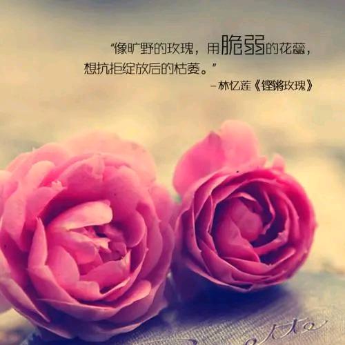 吴卉(大漠胡杨)