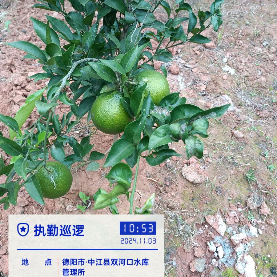欧阳娜姐