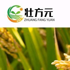 卖肥料的七朵金花