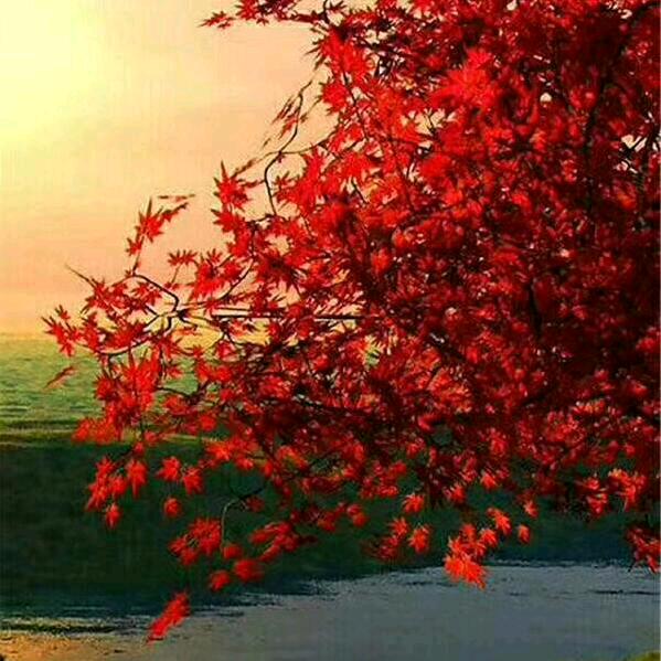 风雨过后是彩虹