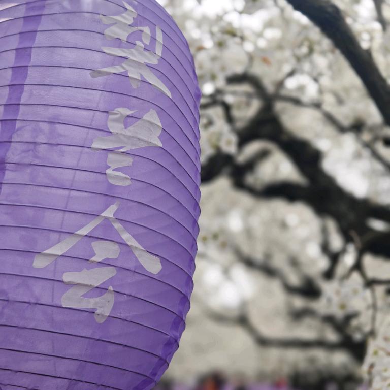 十一