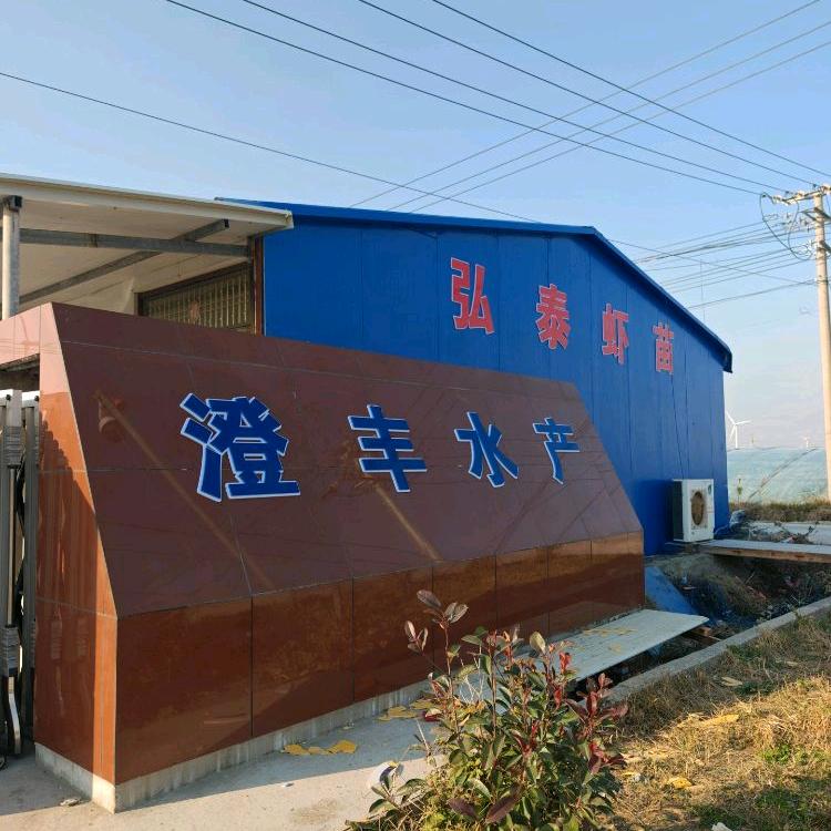 弘泰虾苗王杨萍