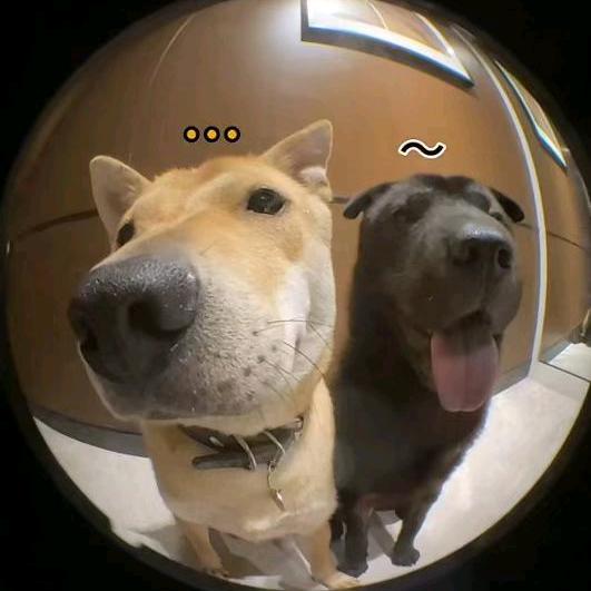 花园老太休要放肆