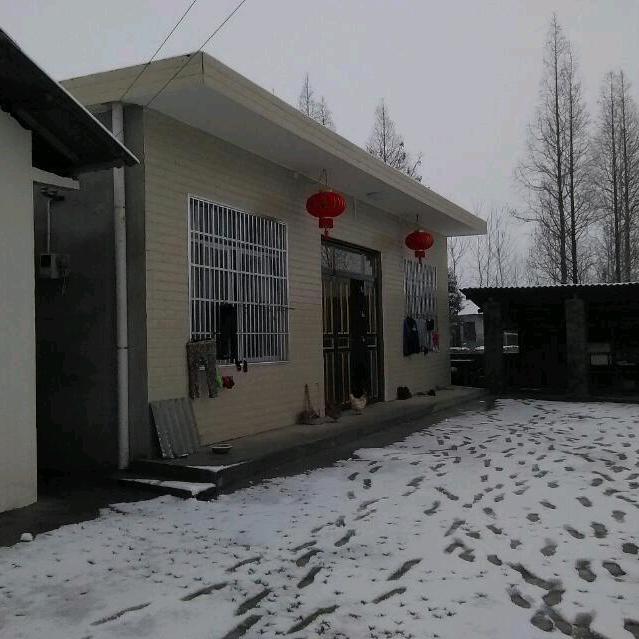 独寵