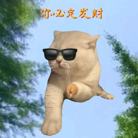 猫me小小