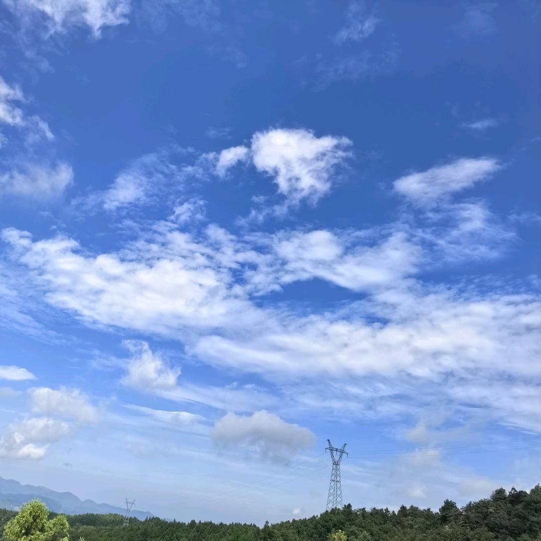 南川高山鲜羊肉