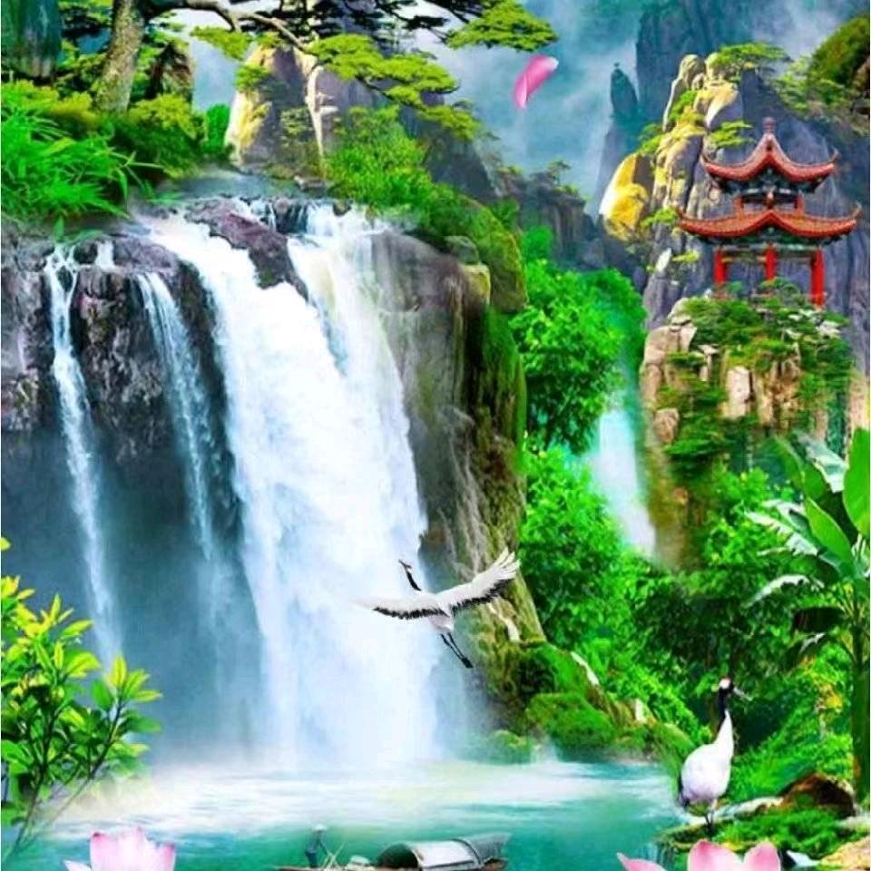 闯码头