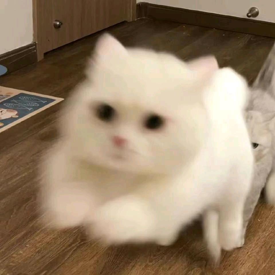 一杯冰美式