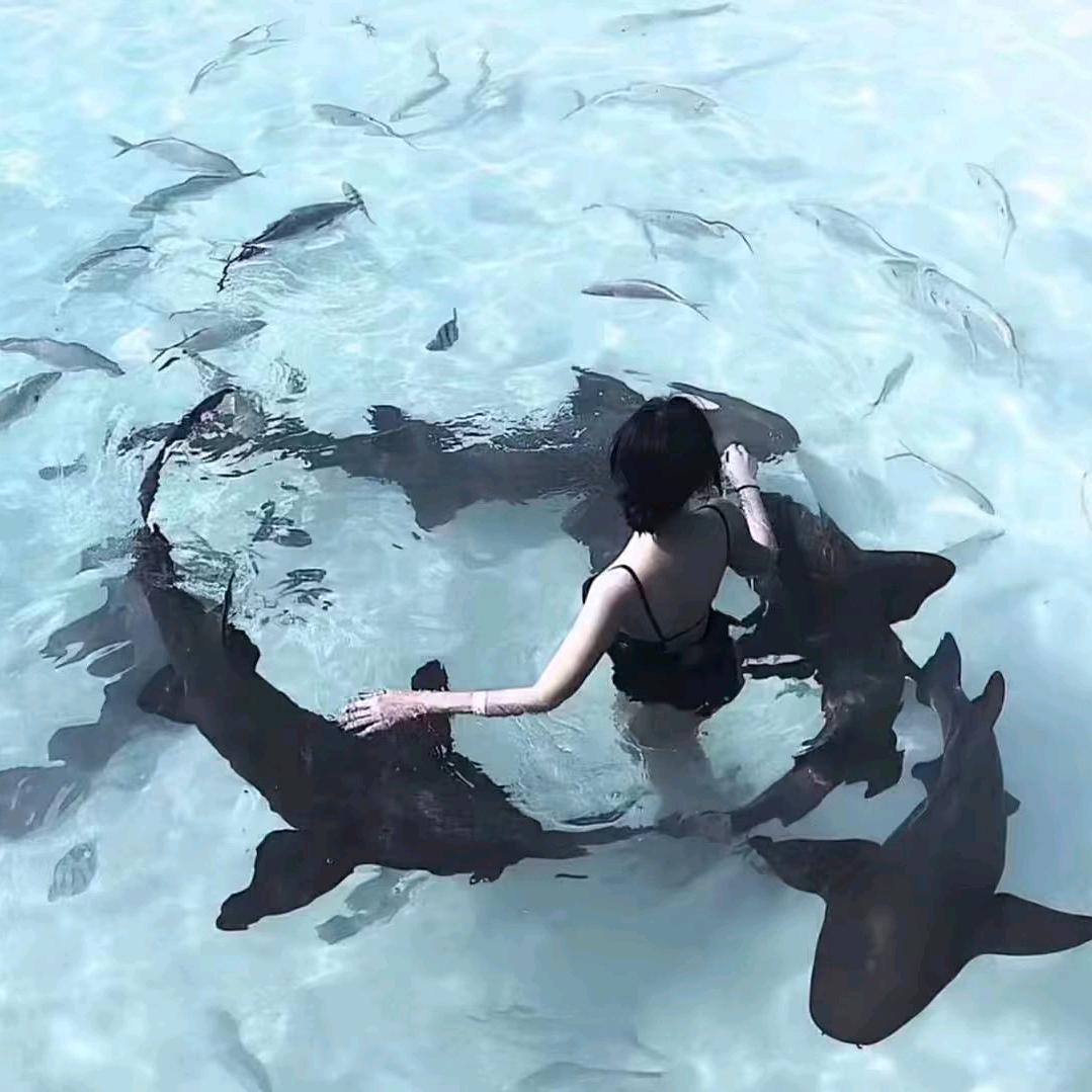 达不溜、