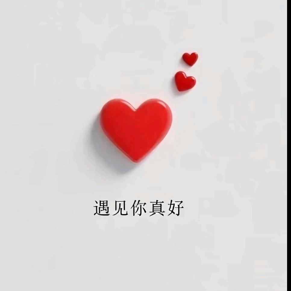 @呆呆不呆🐰
