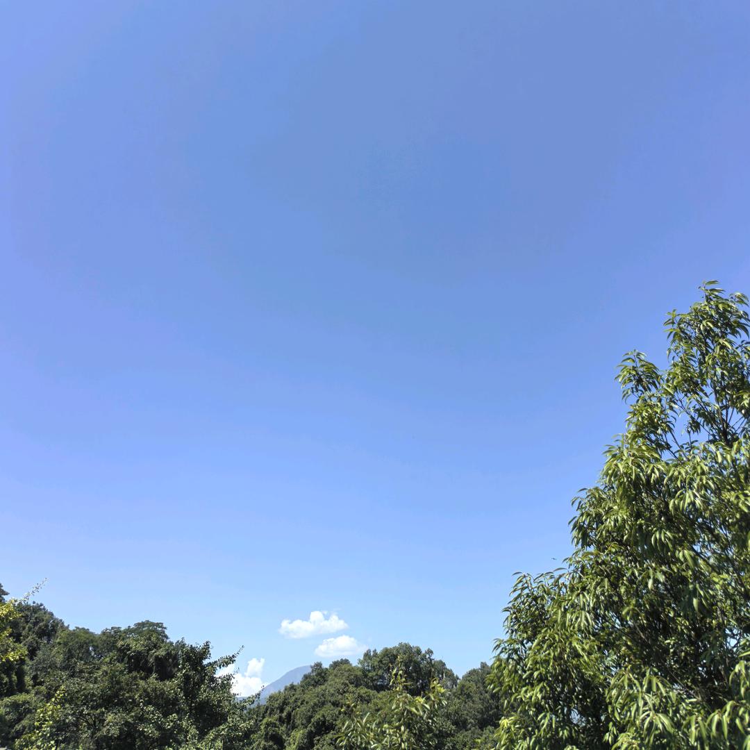 原来