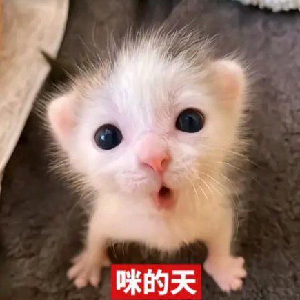 ค婷婷大王ฅ ੭ﾞ