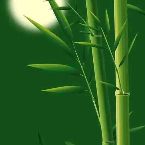 A好运降林