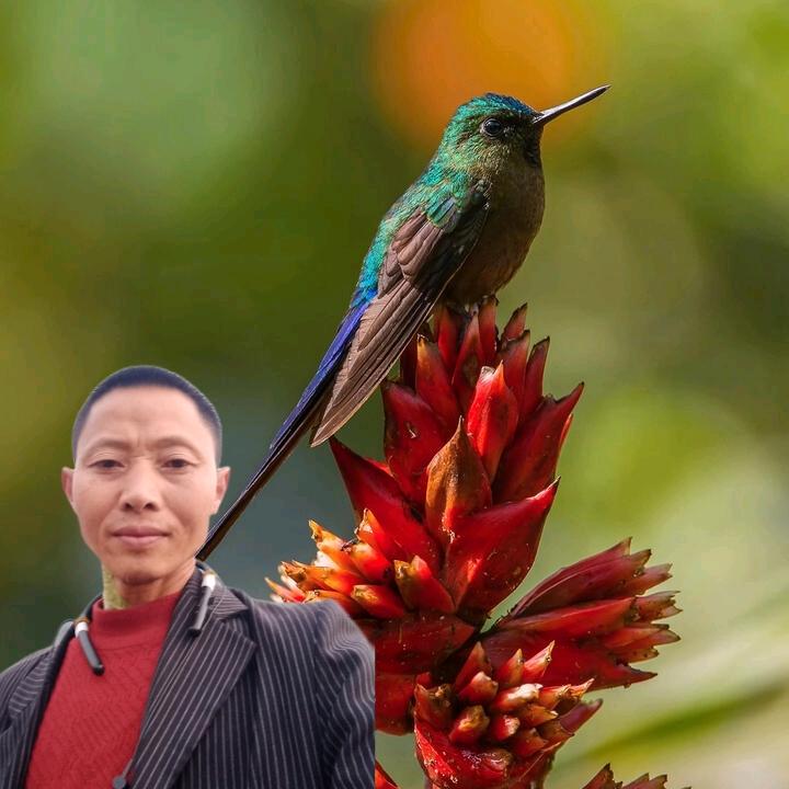 心想事成阿东拒绝连赞