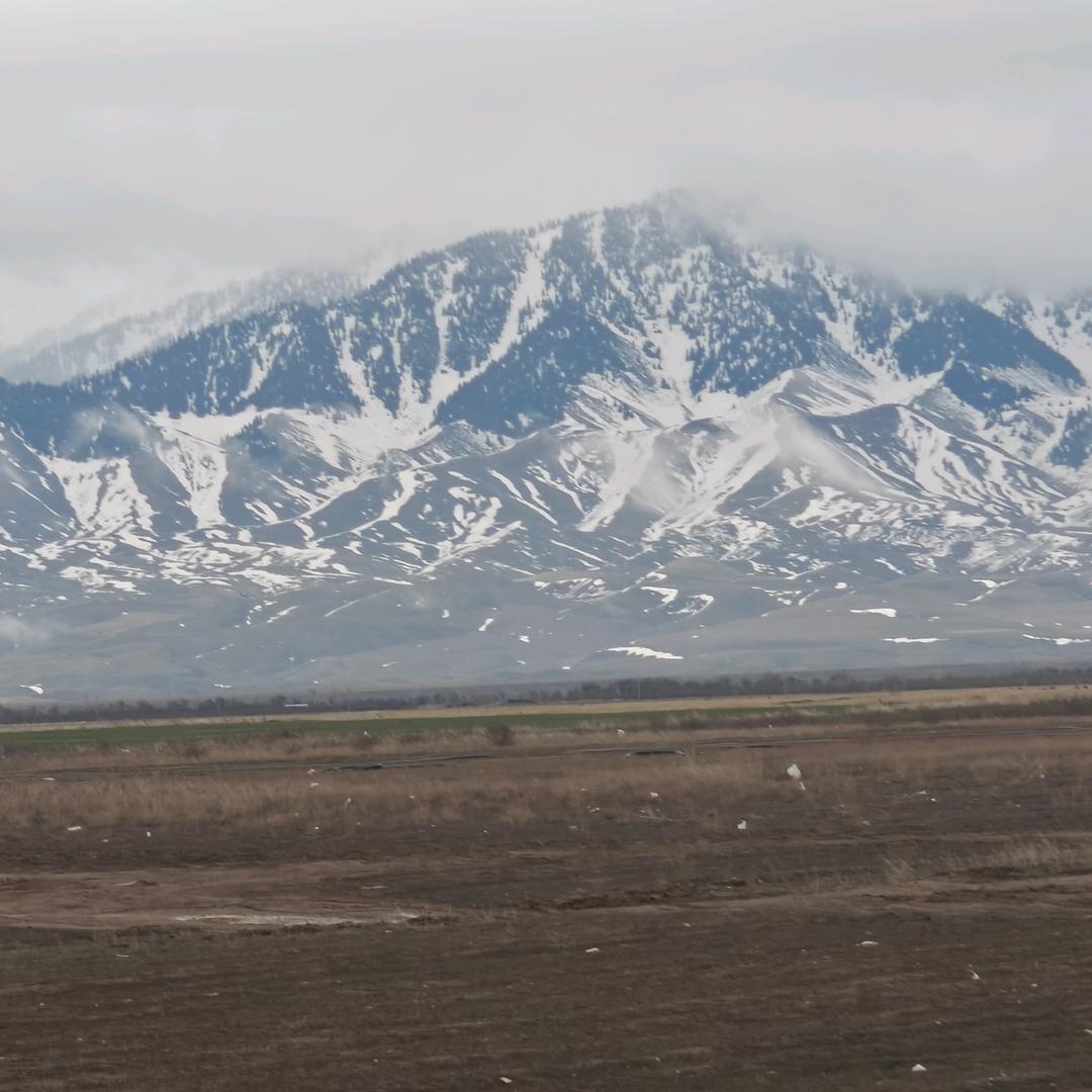 🌶ჰ❛‿❛ჴ烈酒暖心❤