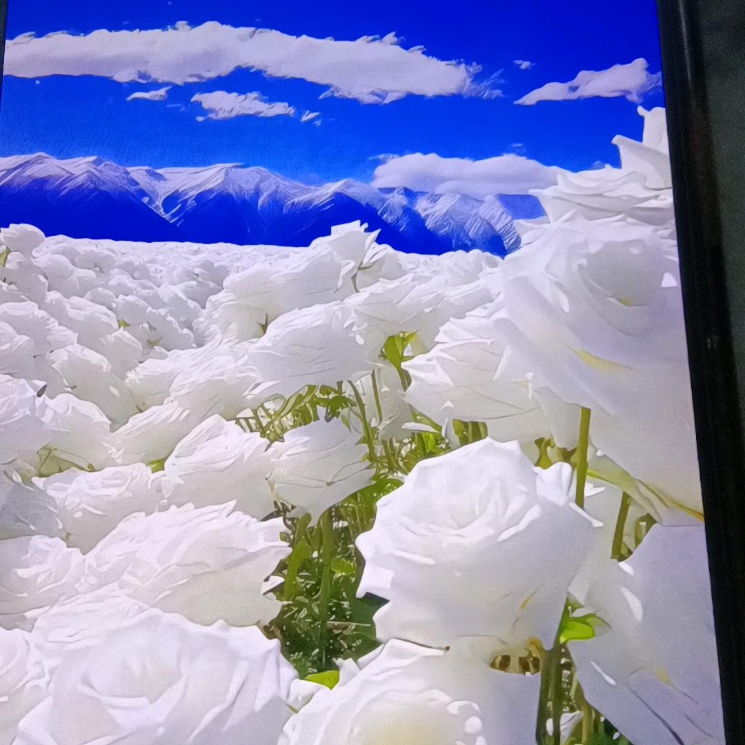 德个百