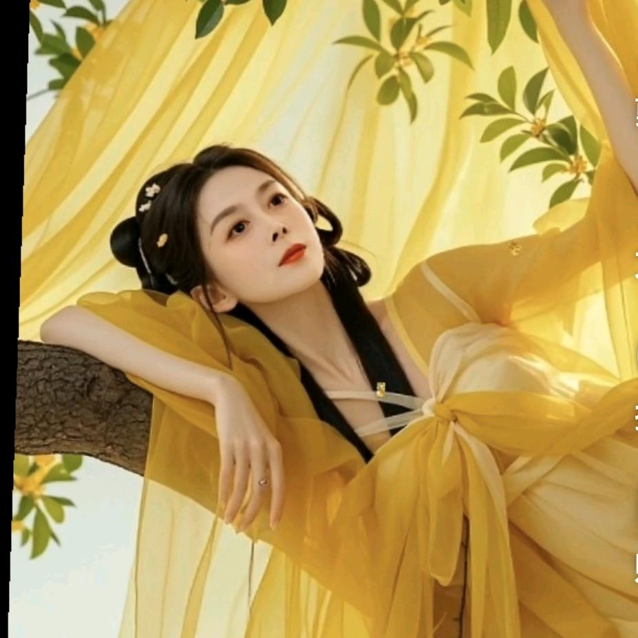 宝姐姐