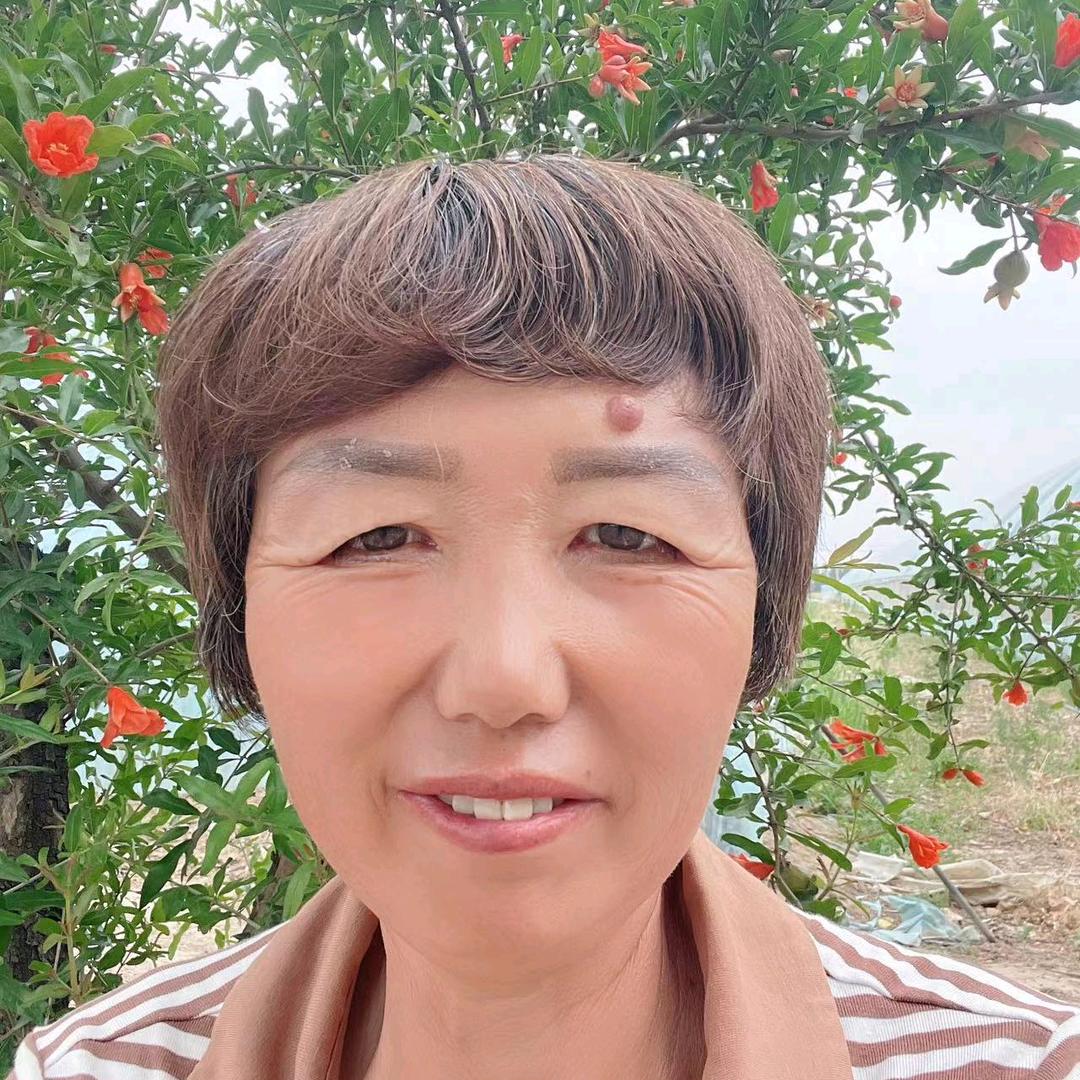 无姨村无花果