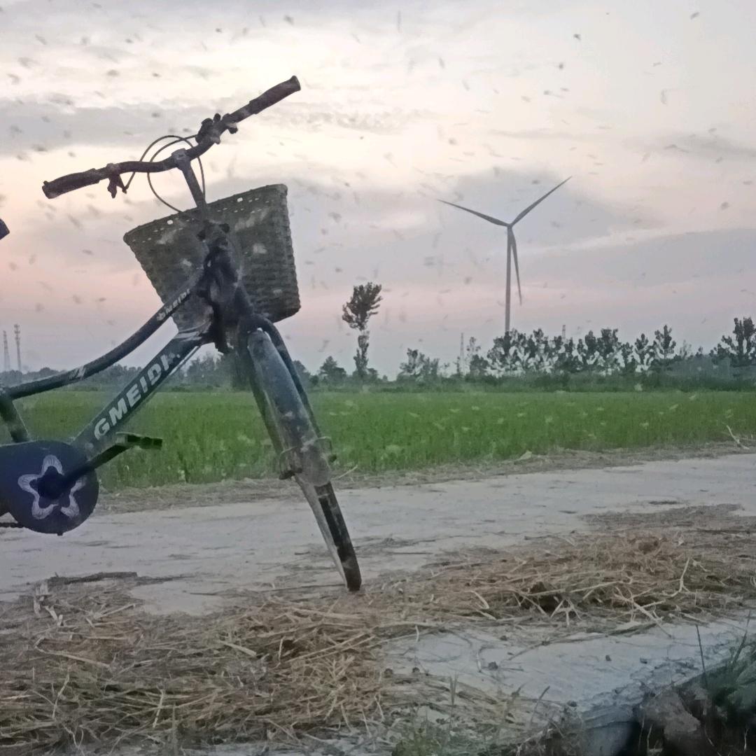 背井离乡打工人