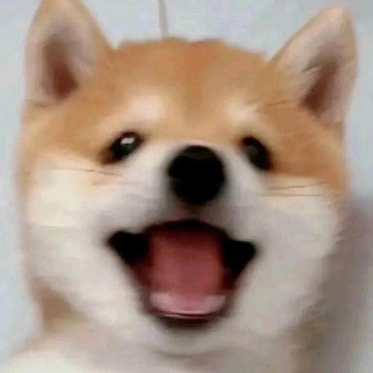 - 鲮鱼