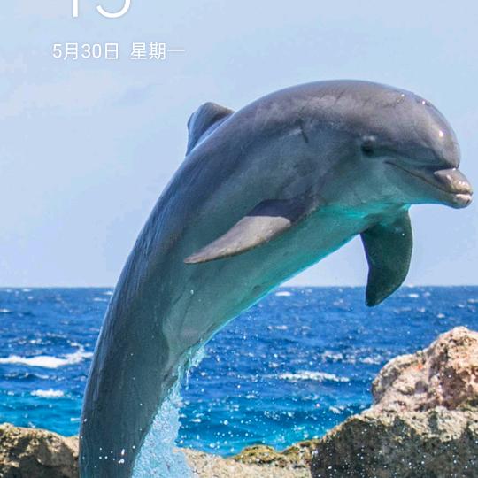 陈海梅宇
