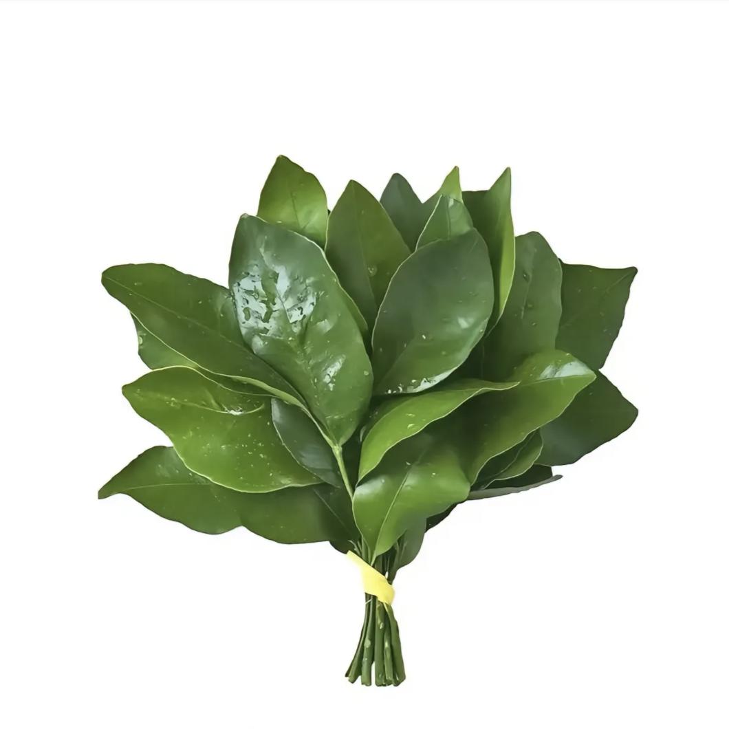王者荣耀泡泡