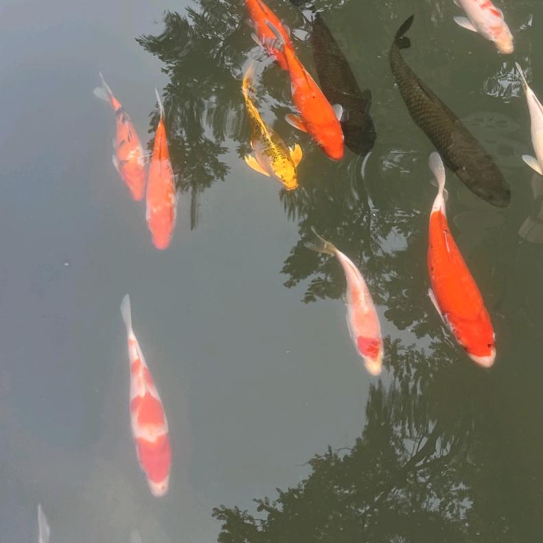 祁一安