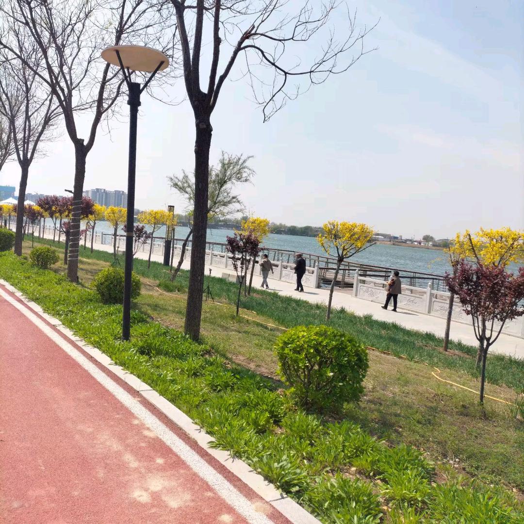 优优妈🦋