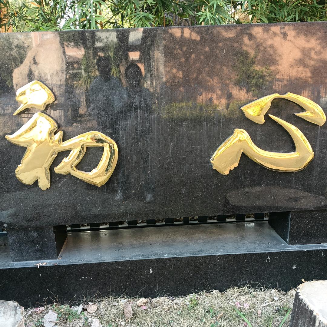 🍎做自己的女王🍀