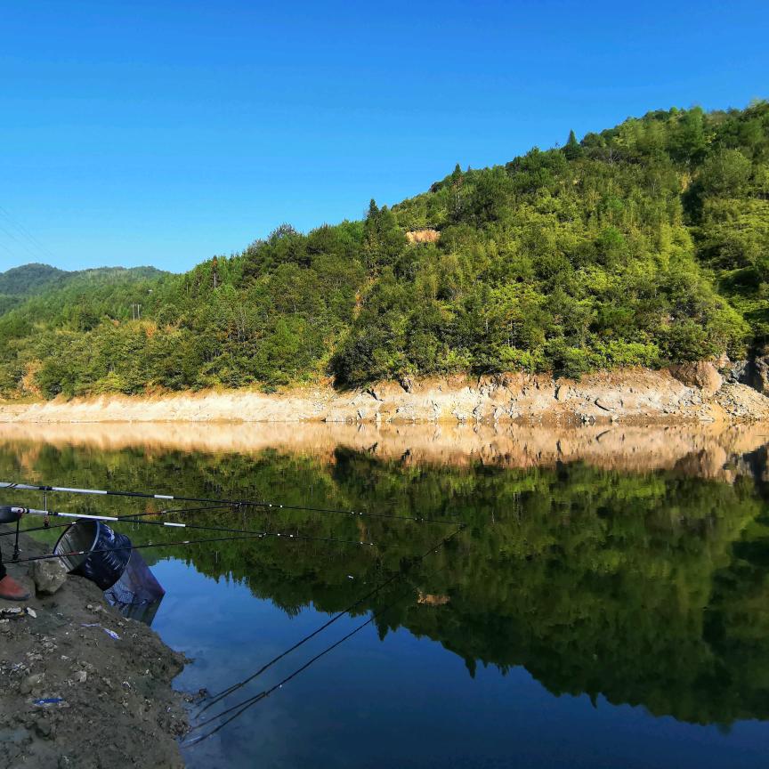 小钓新手—金先生