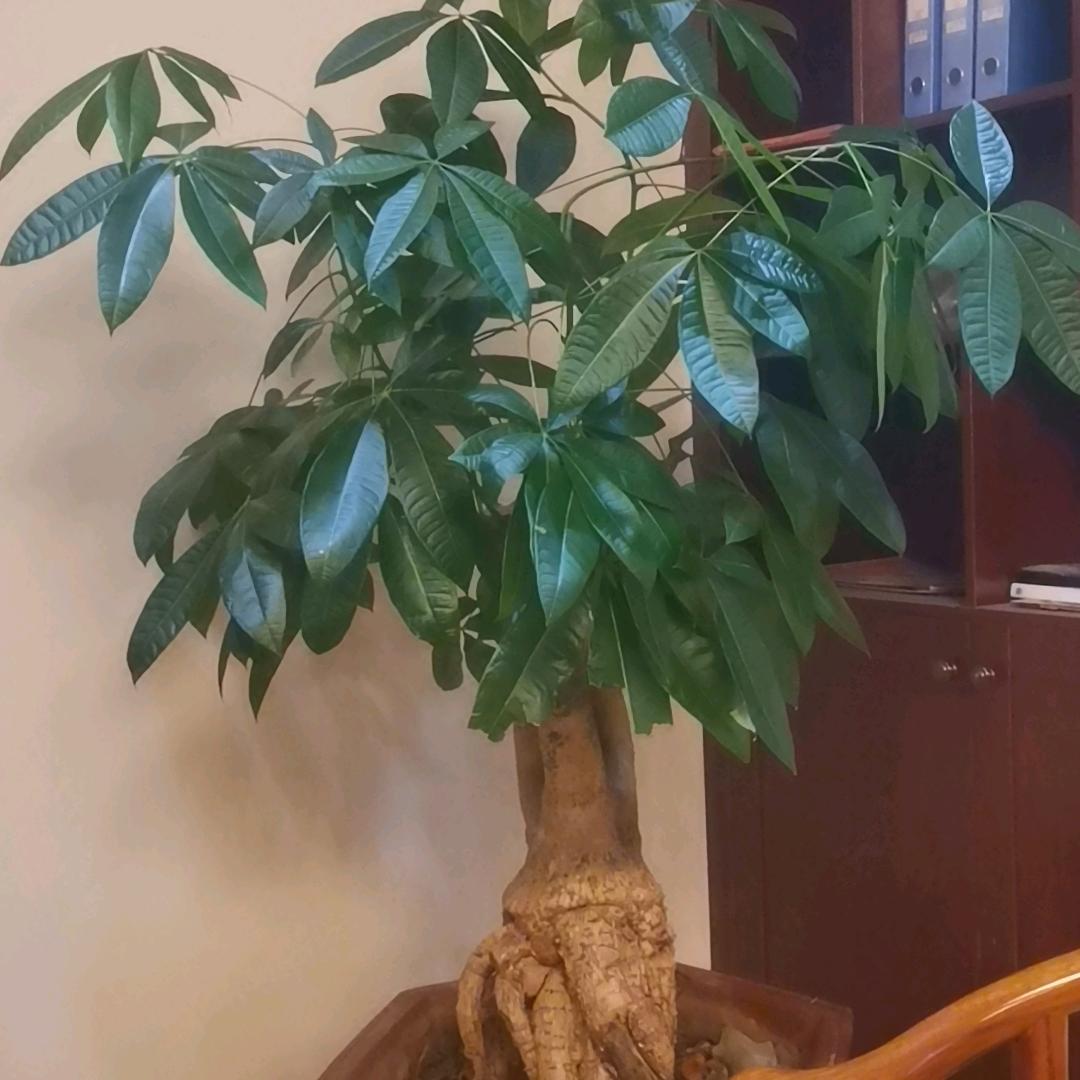 只对你  有想法