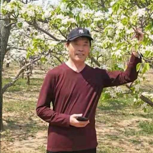 临危不乱沈家公子哥头像