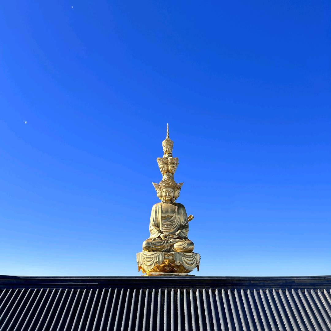 逸辰