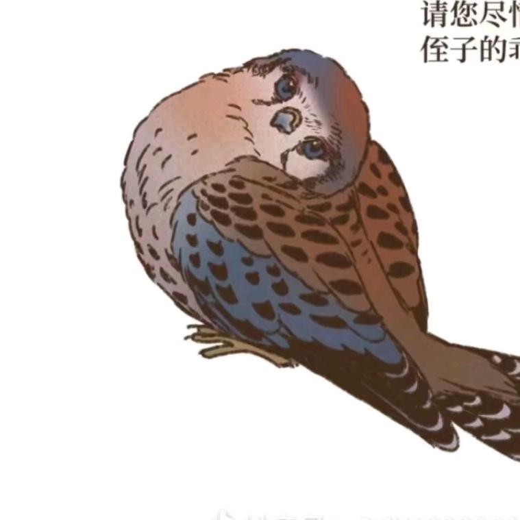 璃安