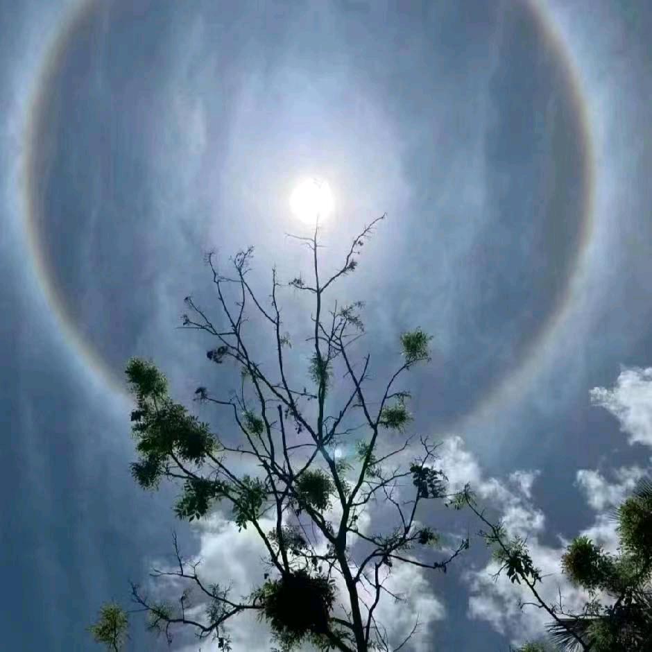 冉冉升起——拒绝连赞
