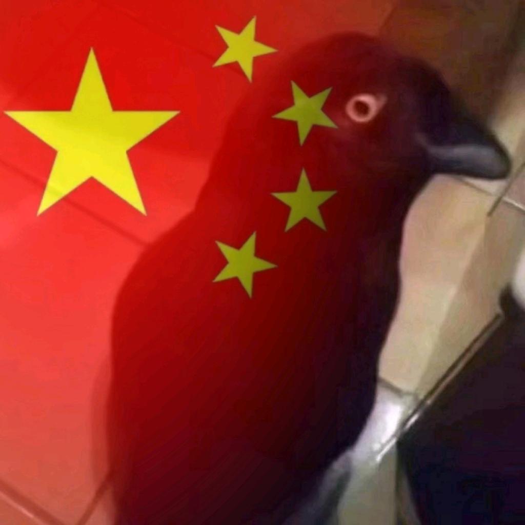 浅陌老师