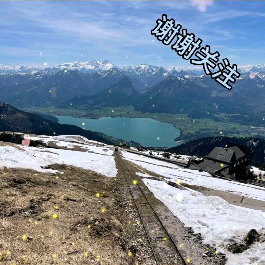 玲姐（谢谢你关注）