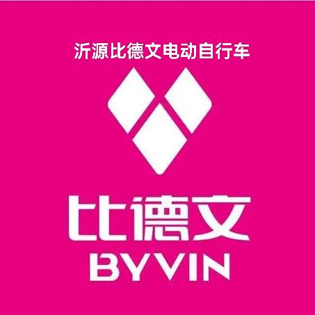 沂源比德文电动车