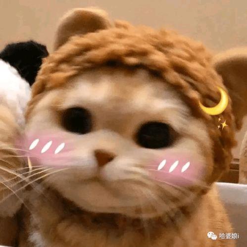 ✨不听话的K~K