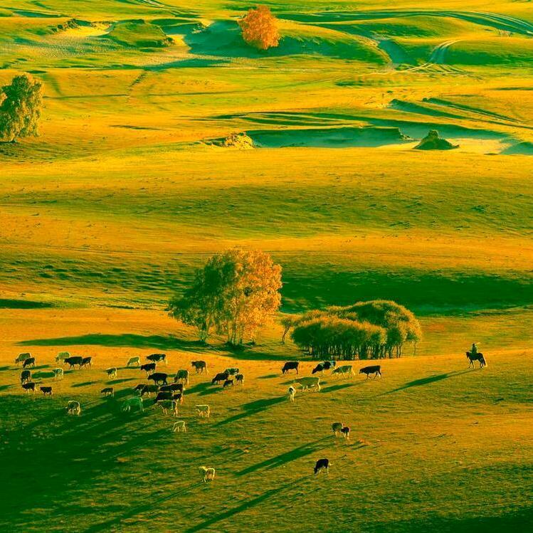 春景